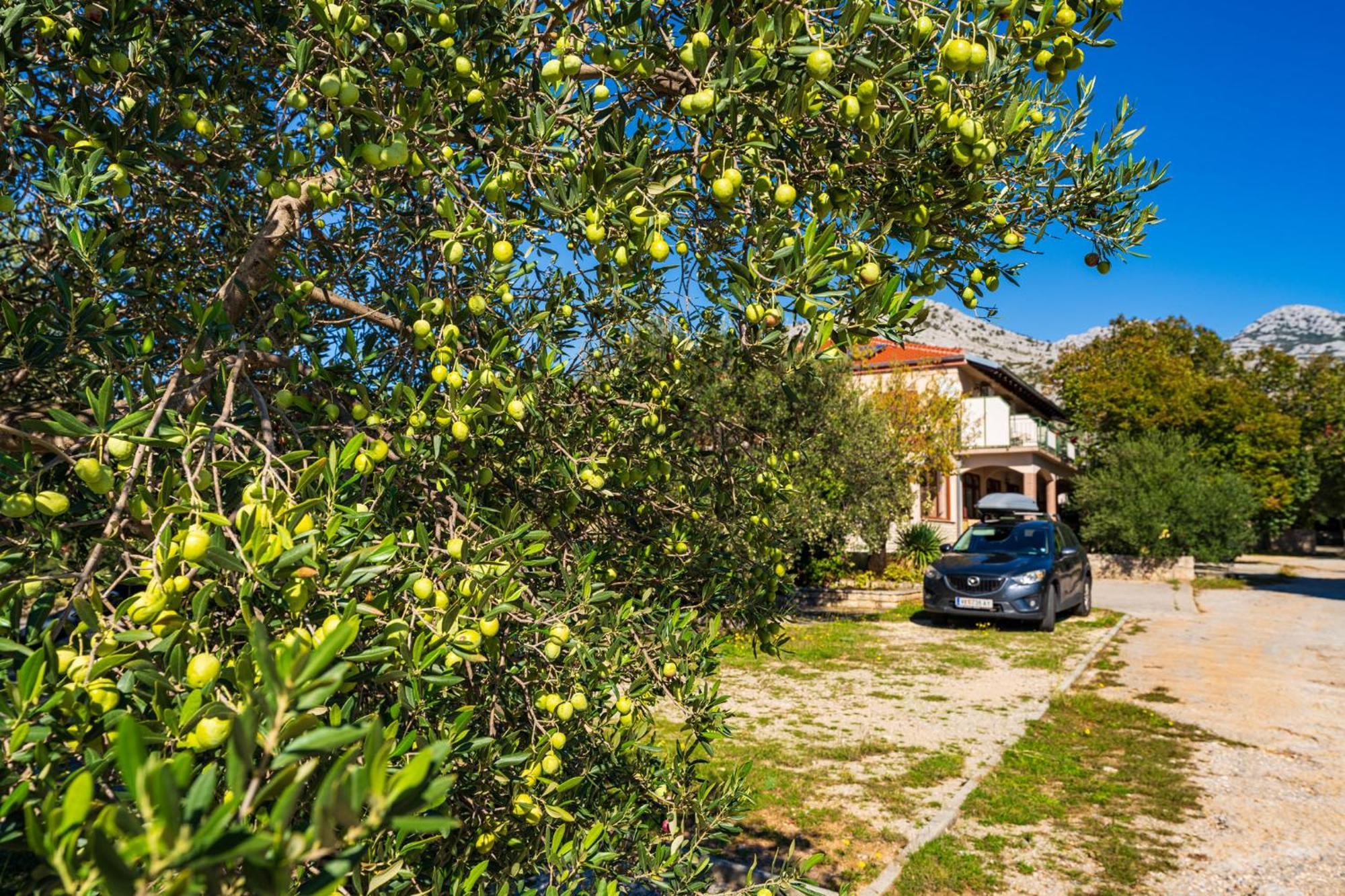 Apartments Adriana Starigrad Paklenica Buitenkant foto